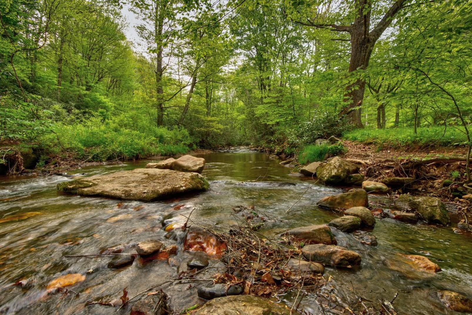 Hidden Creek Cabin Fleetwood Exterior foto